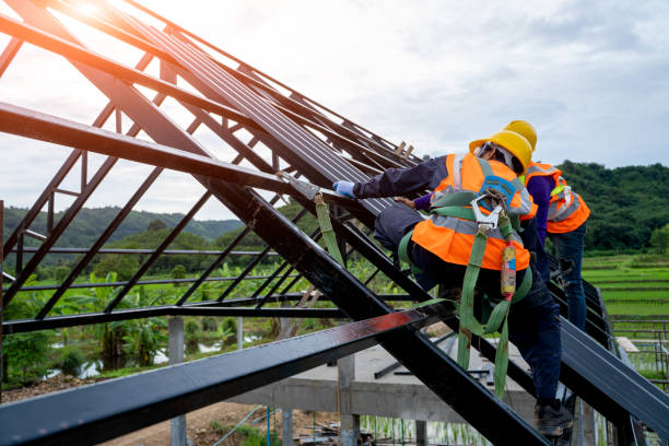 Best Roof Repair Specialists  in Bertsch Oceanview, CA