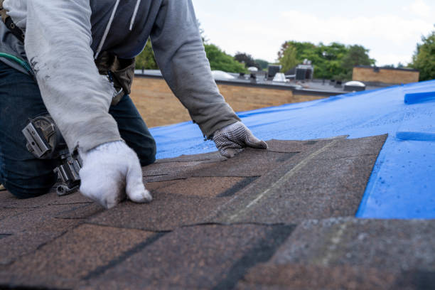Professional Roofing Contractor in Bertsch Oceanview, CA