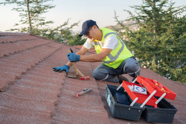 Best Commercial Roofing Services  in Bertsch Oceanview, CA